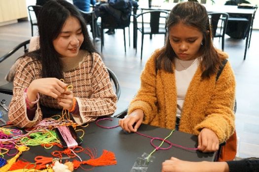 UCD Confucius Institute for Ireland Hosts Successful 2019 Open Day